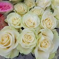 Белые розы Мондиаль