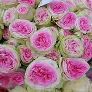 Кустовые розы с розоватым центром