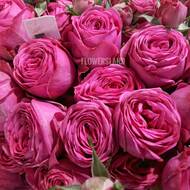 Пионовидные кустовые розы