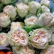 Пионовидные кремовые кустовые розы