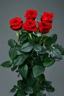Розы "Ред Наоми"