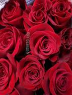 Красные розы "Фридом" 60 см