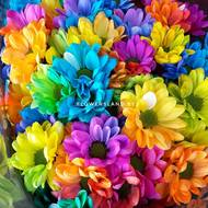 Радужные хризантемы | купить на FlowersLand.by
